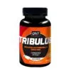 qnt-tribulus-60kap-600x600